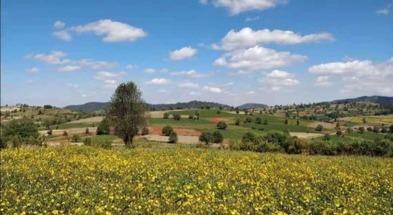 C:\Users\ASUS\AppData\Local\Temp\WeChat Files\c4fa72d86144c067cd43f29e6580d55.jpg C:\Users\ASUS\AppData\Local\Temp\WeChat Files\c4fa72d86144c067cd43f29e6580d55.jpg