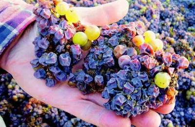 雅戈尔确定收购银泰百货，阿里巴巴出售银泰百货股份