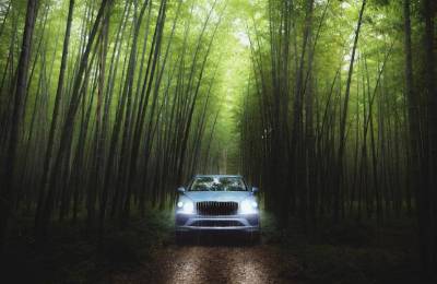 酒店新闻热点（2025年8月26日）数据 拍卖 开业 投资 倒闭 动态 文旅 加盟