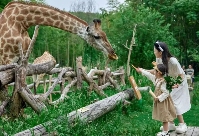 uploads/1016/1760578895173164146.png image.png