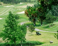 uploads/0919/175824553641466056.png image.png