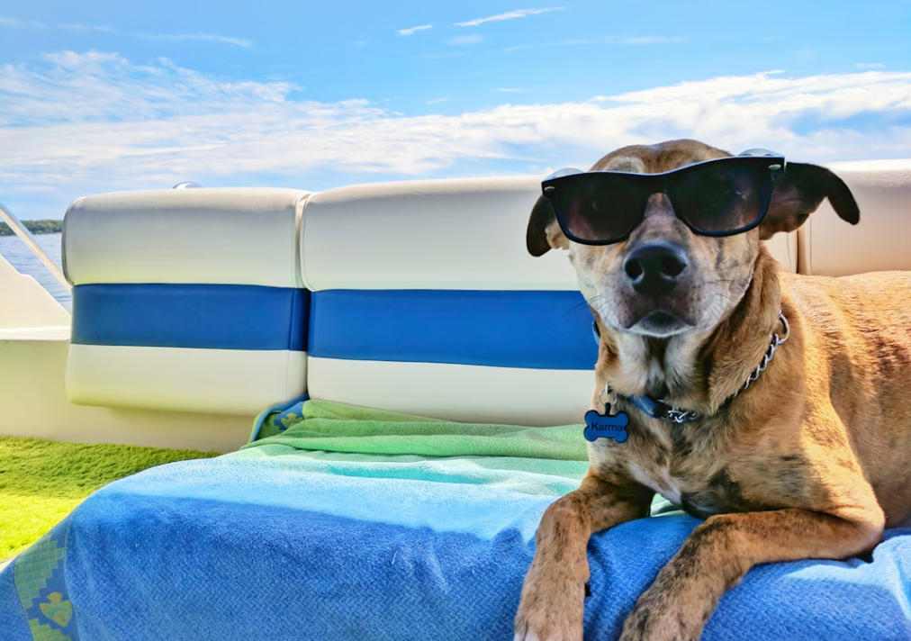 uploads/1114/176310240869336310.jpg BB.jpg