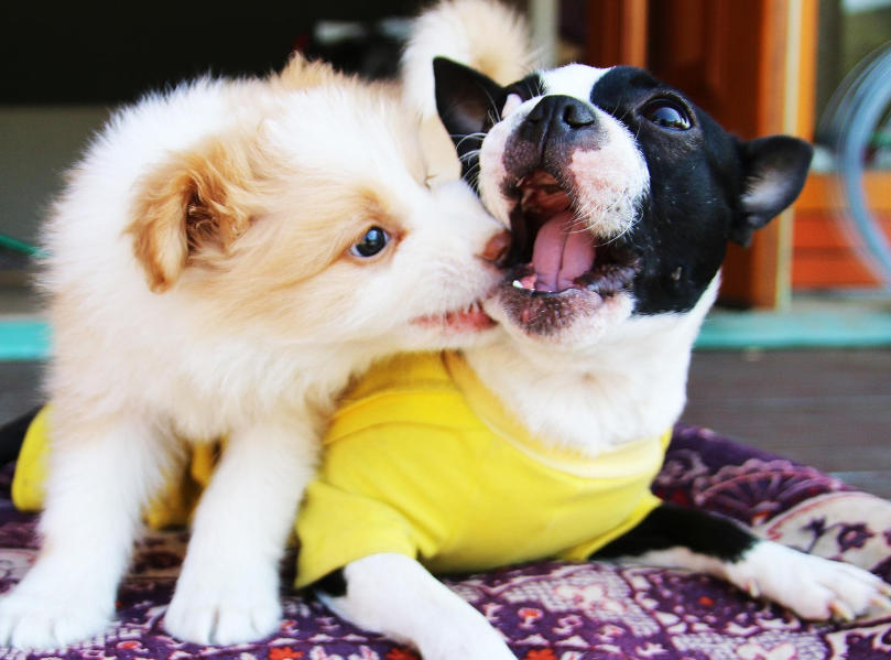 uploads/1114/176310241960231694.jpg C.jpg