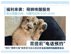 uploads/1111/176284894615523824.png image.png