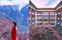 希尔顿集团旗下酒店邀宾客开启惬意春日之旅