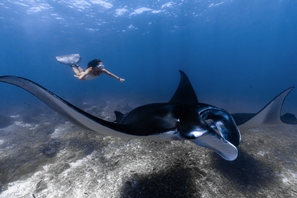 1765693341.jpg Manta Point_副本.jpg