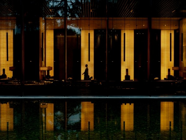 1764387865.jpg The_Puli_5699_副本.jpg