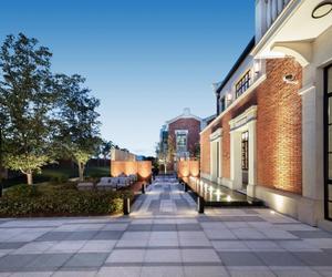 绿意生长的旅居灵感：上海邻家美利亚酒店全新客房以橄榄之韵焕新启幕