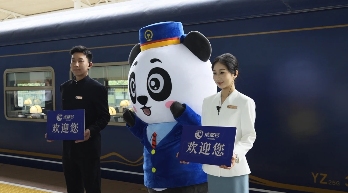 文章详情图片