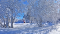 科技赋能 锻造冰雪经济新引擎