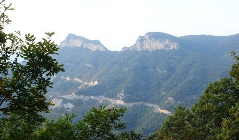 重阳茱萸红
