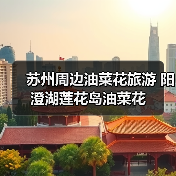 苏州周边油菜花旅游 阳澄湖莲花岛油菜花 苏州周边油菜花旅游 阳澄湖莲花岛油菜花