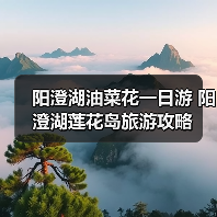 阳澄湖油菜花一日游 阳澄湖莲花岛旅游攻略（图4）