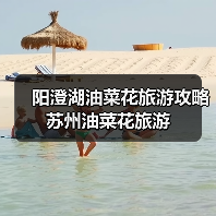 阳澄湖油菜花旅游攻略 苏州油菜花旅游