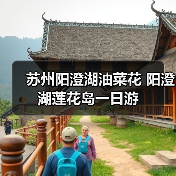 苏州阳澄湖油菜花 阳澄湖莲花岛一日游 苏州阳澄湖油菜花 阳澄湖莲花岛一日游