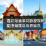 莲花岛油菜花旅游攻略 阳澄湖莲花岛农家乐（图1）