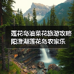 莲花岛油菜花旅游攻略 阳澄湖莲花岛农家乐（图3）
