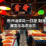 苏州油菜花一日游 阳澄湖莲花岛农家乐 苏州油菜花一日游 阳澄湖莲花岛农家乐