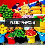 白羽清波天鹅滩（图3）