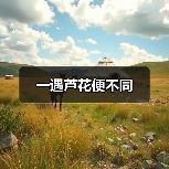 一遇芦花便不同（图3）