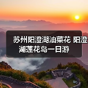苏州阳澄湖油菜花 阳澄湖莲花岛一日游