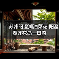 苏州阳澄湖油菜花 阳澄湖莲花岛一日游