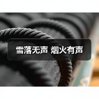 雪落无声 烟火有声（图3）