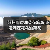 苏州周边油菜花旅游 阳澄湖莲花岛油菜花