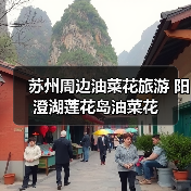苏州周边油菜花旅游 阳澄湖莲花岛油菜花