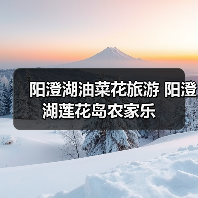 阳澄湖油菜花旅游 阳澄湖莲花岛农家乐