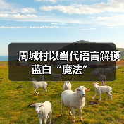 周城村以当代语言解锁蓝白“魔法”（图4）