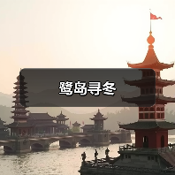 鹭岛寻冬（图2）
