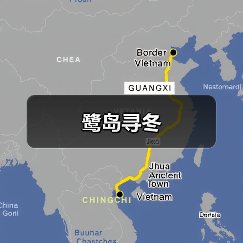 鹭岛寻冬（图3）