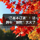 “已基本订满”！这一跨年“爆款”太火了（图2）