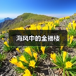 海风中的全福楼(图1) 海风中的全福楼(图1)