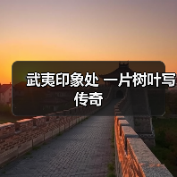 武夷印象处 一片树叶写传奇（图4）