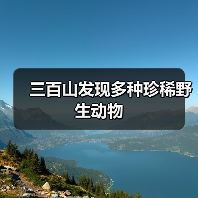 三百山发现多种珍稀野生动物(图3) 三百山发现多种珍稀野生动物(图3)