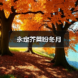 永定芥菜盼冬月(图2) 永定芥菜盼冬月(图2)