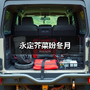永定芥菜盼冬月(图4) 永定芥菜盼冬月(图4)