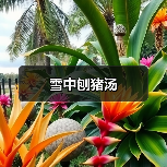 雪中刨猪汤(图2) 雪中刨猪汤(图2)