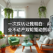 一次踩坑让我明白:商业不动产双轮驱动到底怎么玩?(图4) 一次踩坑让我明白:商业不动产双轮驱动到底怎么玩?(图4)