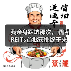 我亲身踩坑那次，酒店REITs首批获批终于来了（图1）