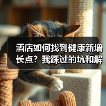 酒店如何找到健康新增长点？我踩过的坑和解决方案（图3）