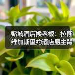赌城酒店换老板:拉斯维加斯里约酒店易主背后的门道(图3) 赌城酒店换老板:拉斯维加斯里约酒店易主背后的门道(图3)