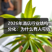 2026年酒店行业结构性分化：为什么有人亏钱有人排队？（图1）