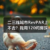 二三线城市RevPAR上不去?我用120间房踩过的坑告诉你真相(图2) 二三线城市RevPAR上不去?我用120间房踩过的坑告诉你真相(图2)