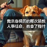 我亲身经历的那次凯悦人事任命，教会了我什么（图1）