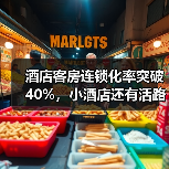 酒店客房连锁化率突破40%,小酒店还有活路吗?(图4) 酒店客房连锁化率突破40%,小酒店还有活路吗?(图4)