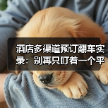 酒店多渠道预订翻车实录：别再只盯着一个平台了（图2）