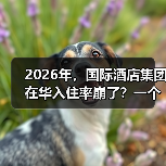 2026年，国际酒店集团在华入住率崩了？一个前业主的血泪观察（图1）